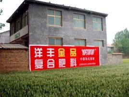 德化如何让墙体广告展现最大化效果