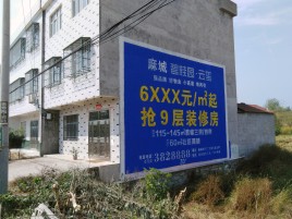 德化墙体广告质量分析